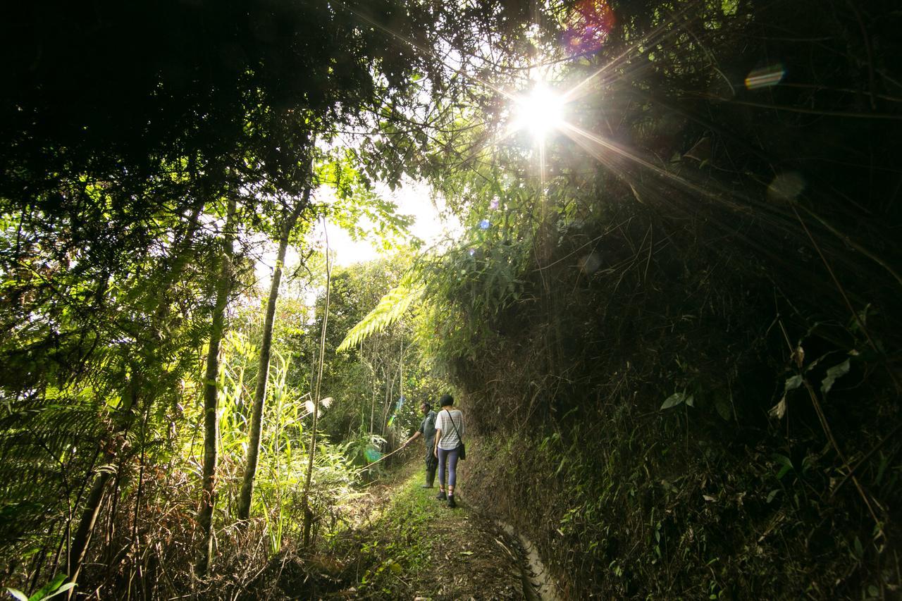 The Lakehouse Cameron Highlands Ringlet Bagian luar foto